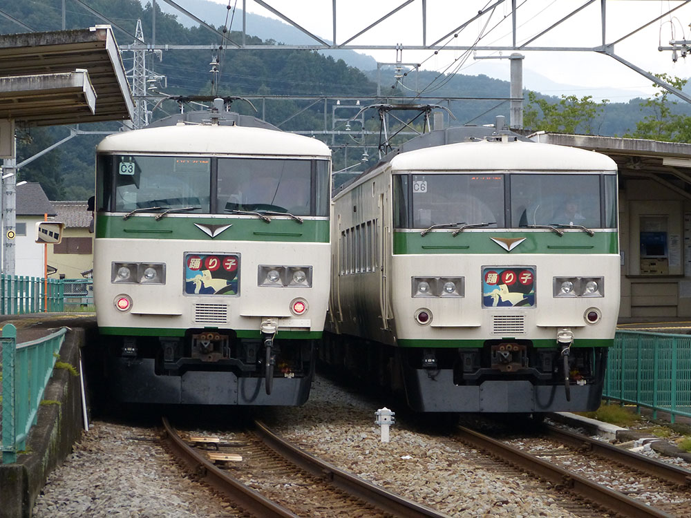 JR東日本185系 | JR写真館 | Railway Enjoy Net - 関西の鉄道サイト -