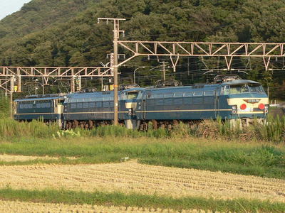 EF66-45と49が、EF65PFの牽引の元向日町へ向けて回送されている。