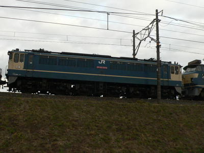 101212_katsutragawa.11.jpg