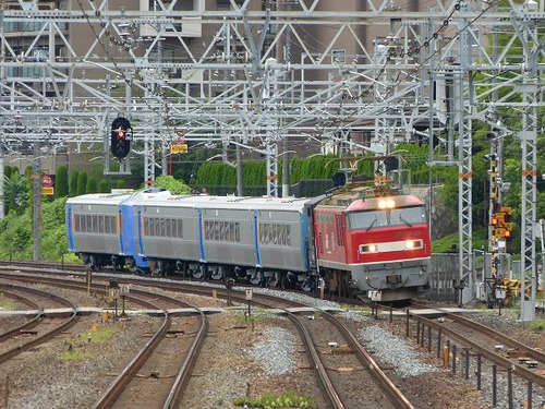 P1130509.jpg