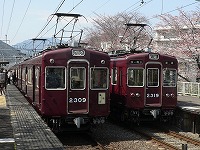 桜の上桂駅で顔を合わせる
