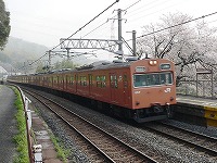 桜が咲く河内堅上駅にて。