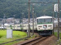 185系特急踊り子号が東牧之郷駅手前のカーブを曲がってきました。