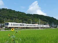 真夏の221系