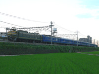 島本駅横の田んぼにて