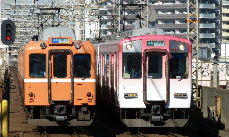 南大阪・吉野線で運行中の、ラビットカーと吉野飛鳥ラッピング車