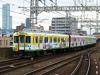 吉野側は黄色と白